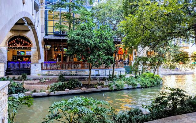 Daytime greenery and terraces along the San Antonio River Walk