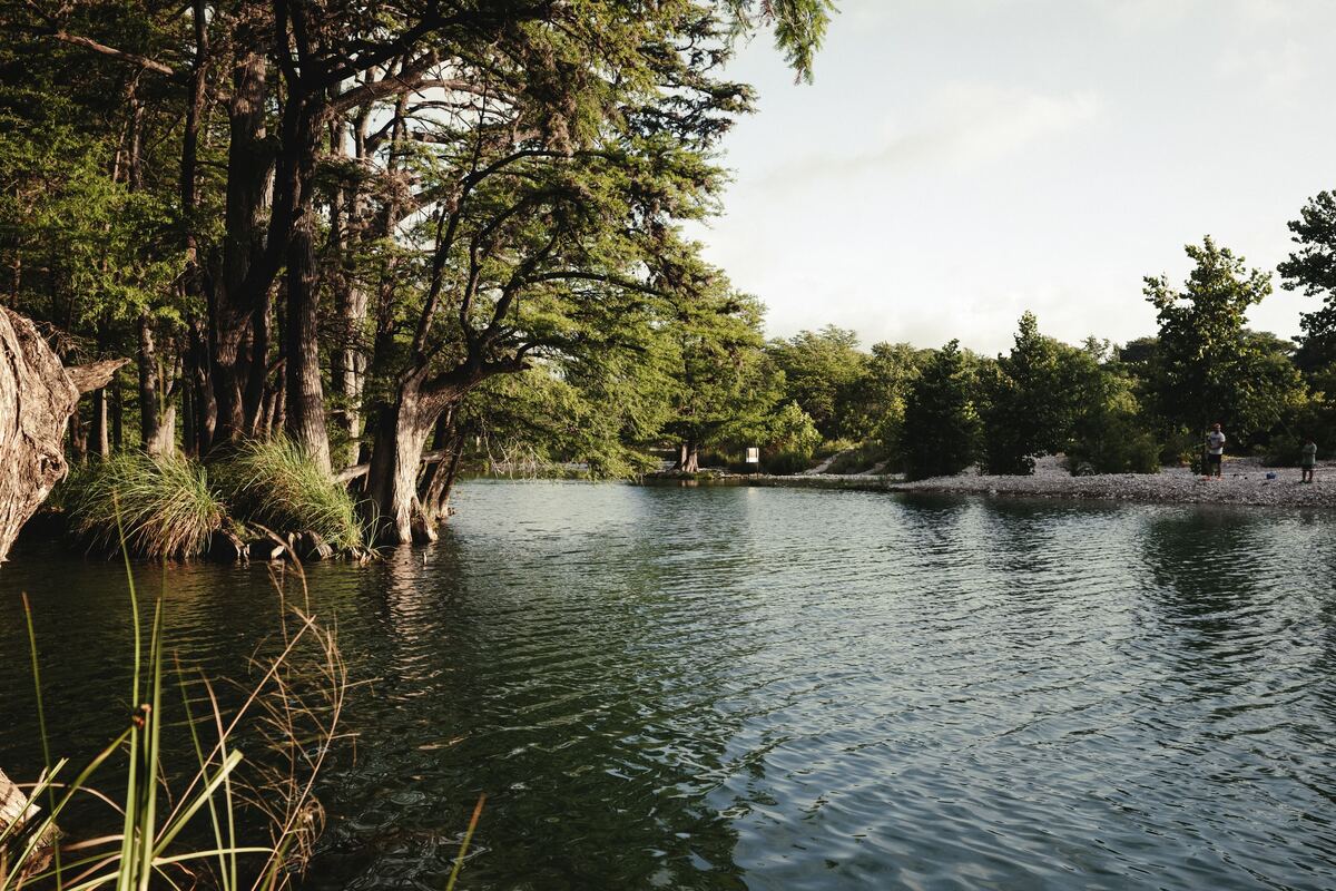 Cypress trees lining a clear Texas river