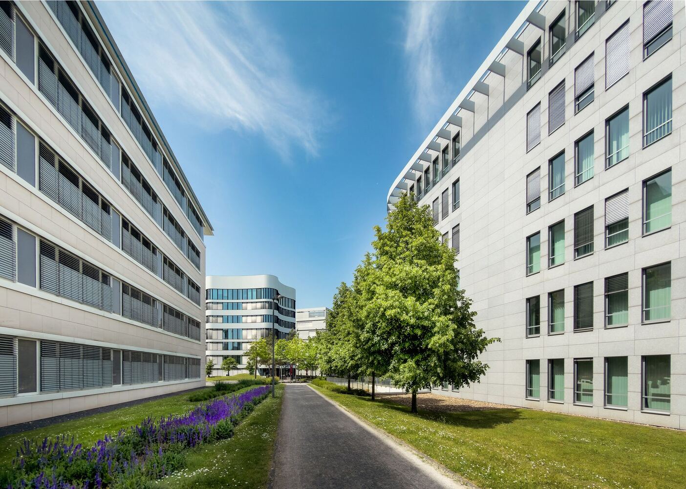 Modern office buildings along a landscaped walkway