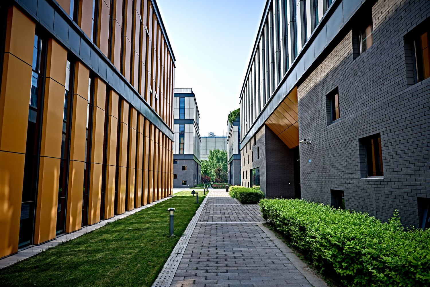 Paved walkway between contemporary office buildings